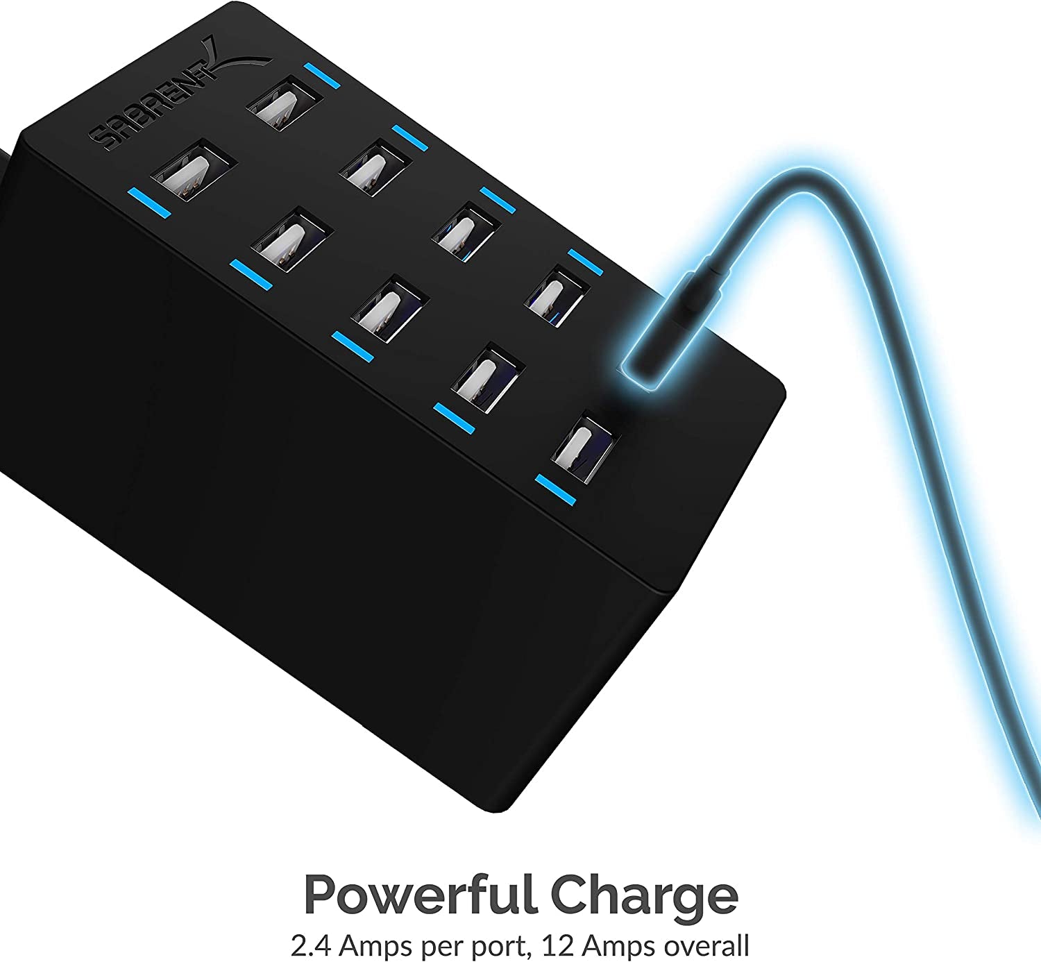 60 Watt (12 Amp) 10 Port [UL Certified] Family Sized Desktop USB Rapid Charger. Smart USB Ports with Auto Detect Technology [Black] (AX-TPCS)