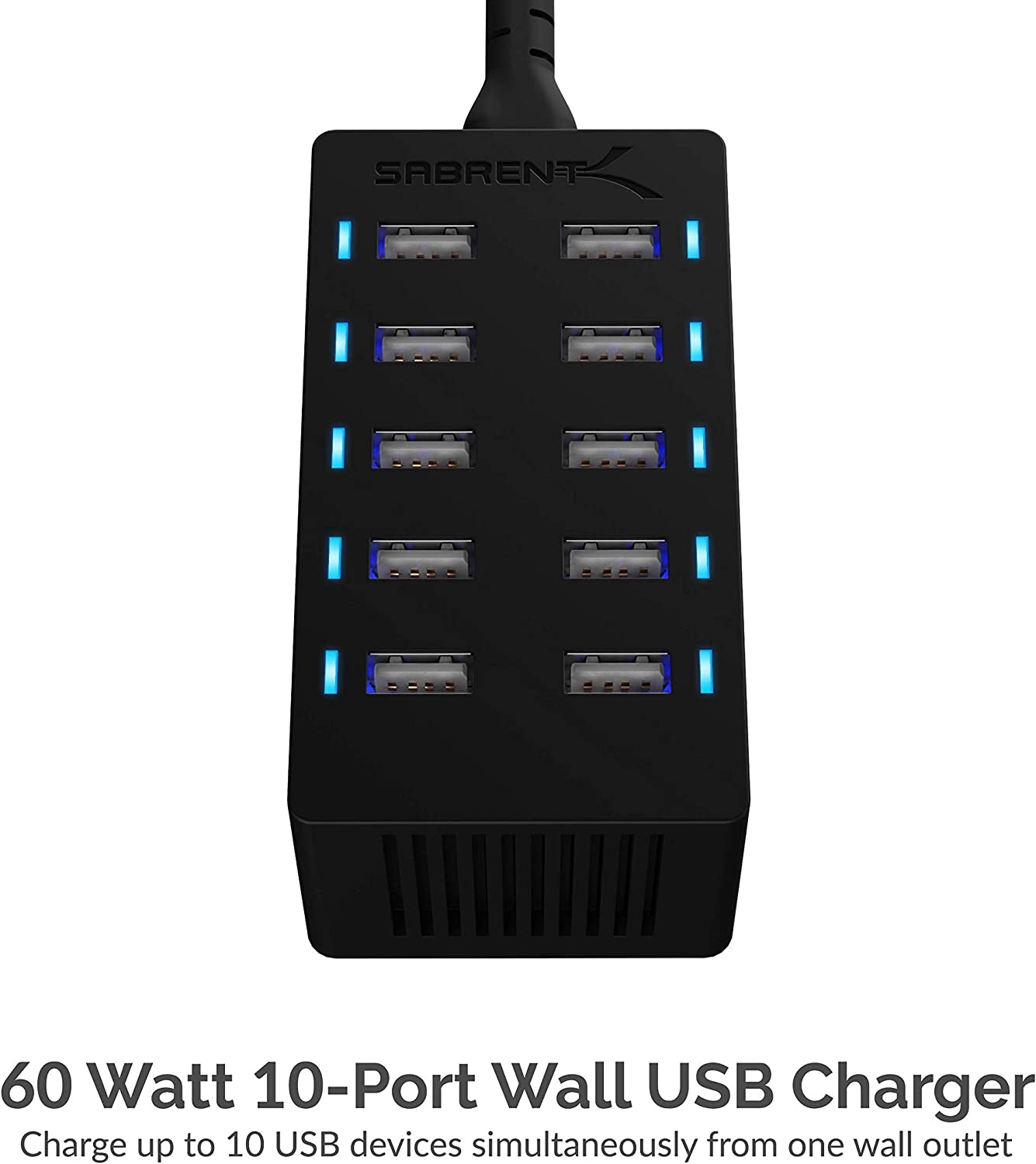 60 Watt (12 Amp) 10 Port [UL Certified] Family Sized Desktop USB Rapid Charger. Smart USB Ports with Auto Detect Technology [Black] (AX-TPCS)