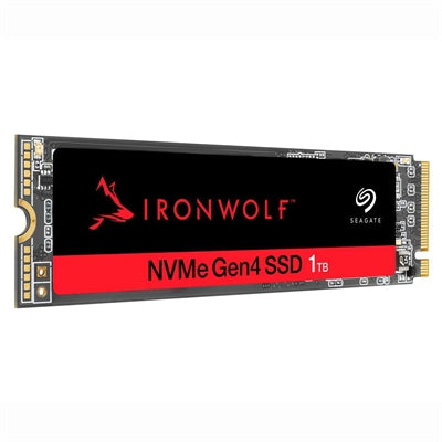 1TB M.2 NVMe Gen3 NAS SSD